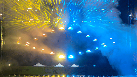 GIF7 GIF7
