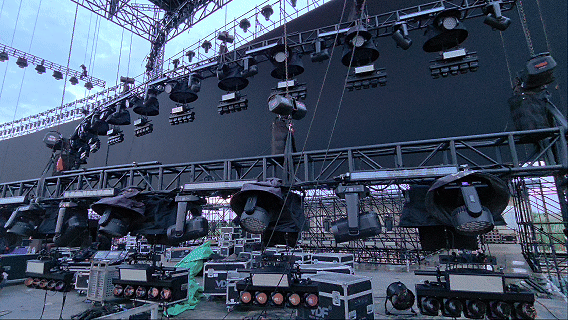 GIF5 GIF5