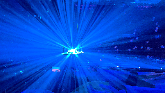 GIF3 GIF3