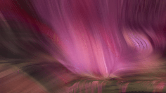 GIF1